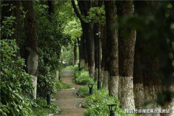 @中鷹黑森林 普陀中鷹黑森林官方售樓處發布：一生只搬一次家！(圖5)